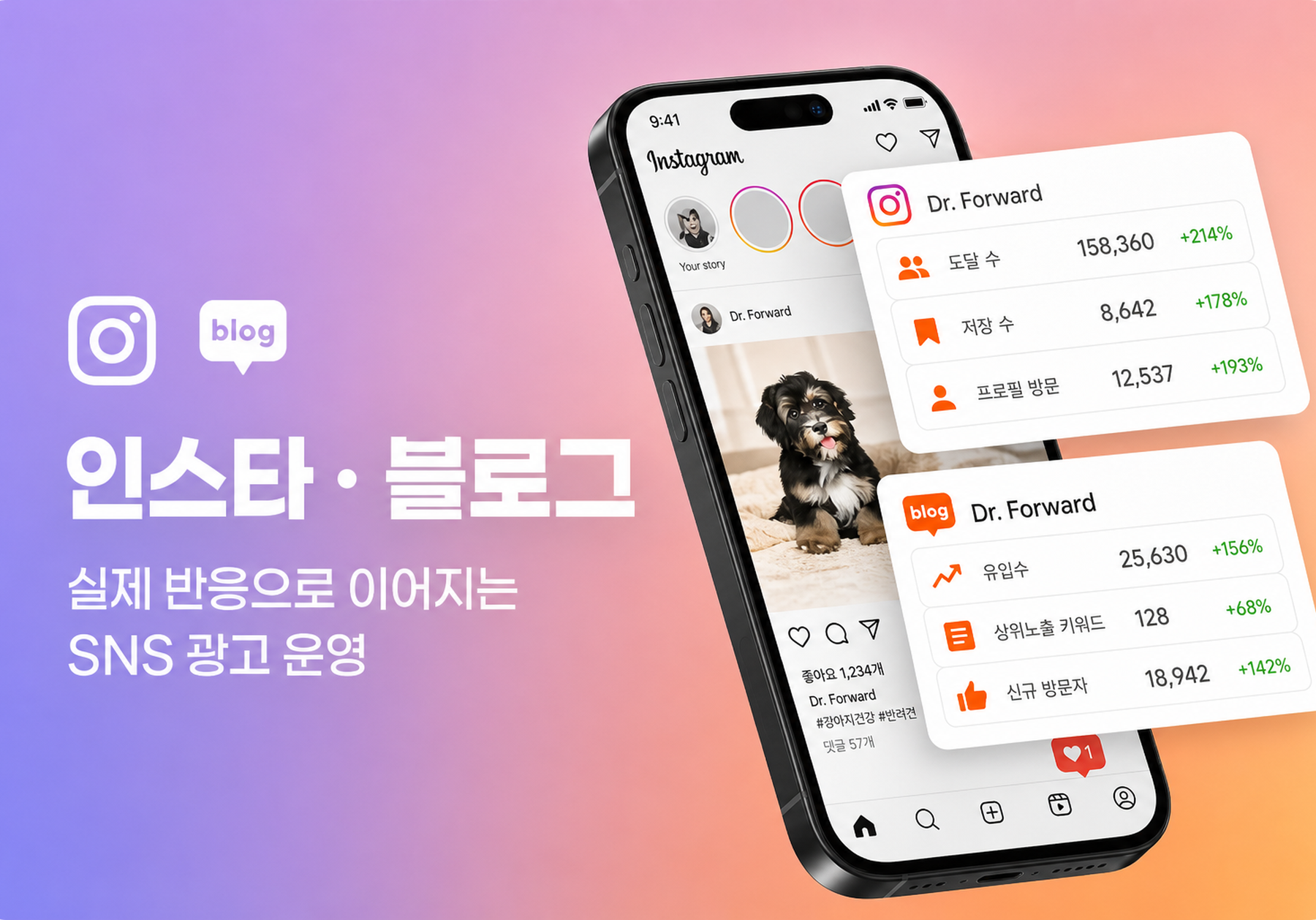 인스타 · 블로그 SNS